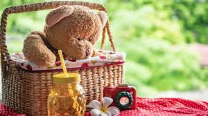 Teddy Bears Picnic on the 11th August