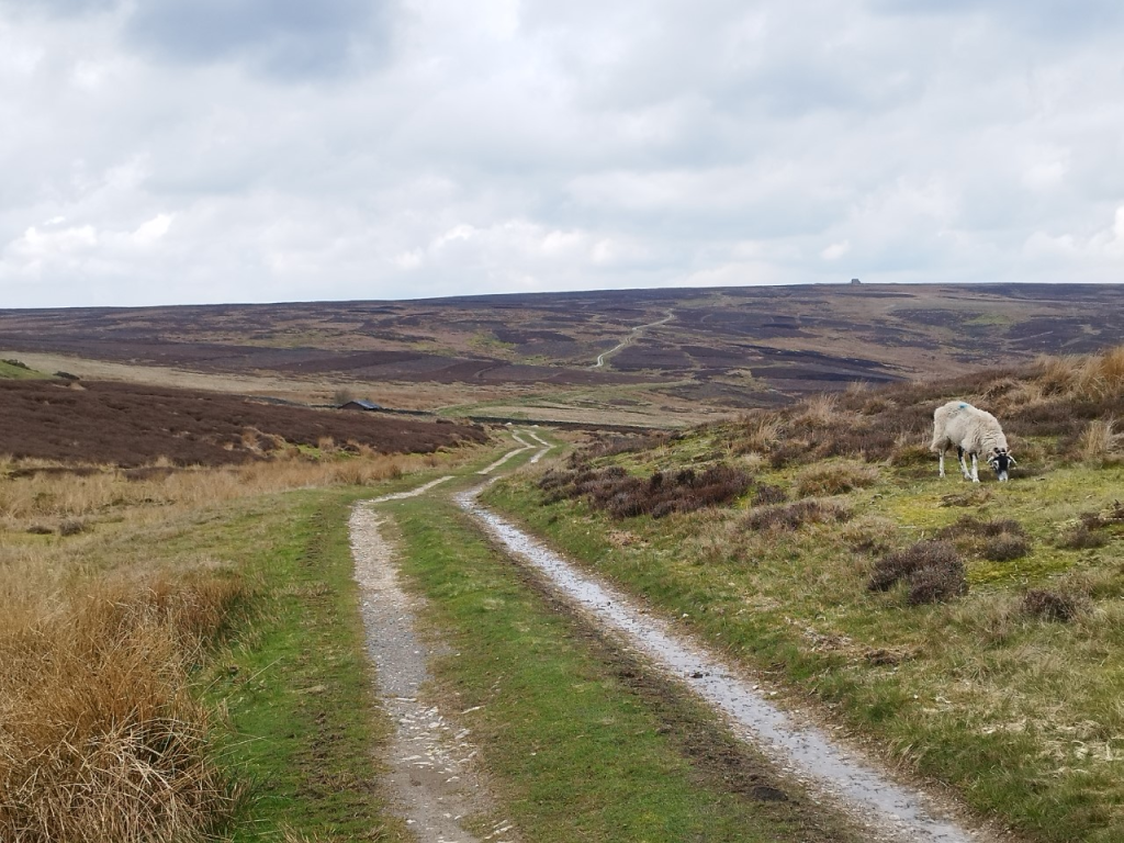 Rombald Stride 7th February 2026